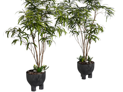 侘寂风花盆 盆景盆栽植物3d模型 侘寂风花盆 盆景盆栽植物