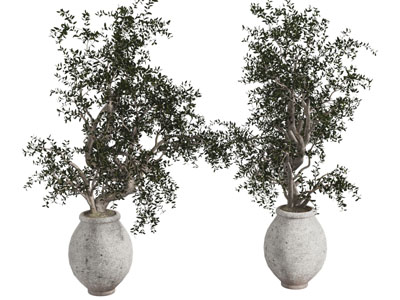 侘寂风陶艺花瓶树枝 摆件组合3d模型 侘寂风陶艺花瓶树枝 摆件组合