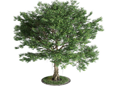 现代树池景观树木3d模型 现代树池景观树木