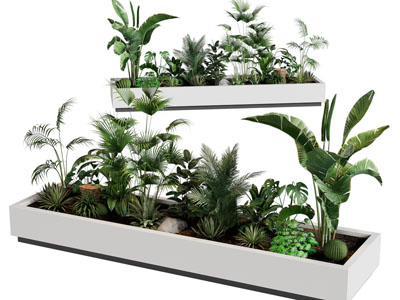 现代花坛花草盆景盆栽植物3d模型 现代花坛花草盆景盆栽植物