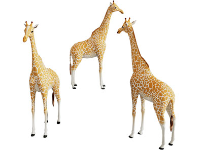 现代长颈鹿 爬行动物