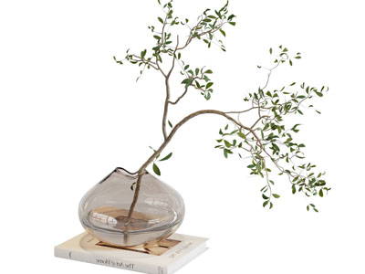 现代玻璃花瓶花卉3d模型 现代玻璃花瓶花卉
