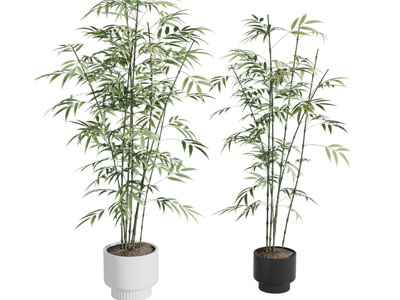 新中式花盆竹子盆景盆栽植物3d模型 新中式花盆竹子盆景盆栽植物