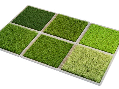 现代草地 草坪 景观园艺小品