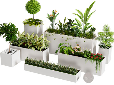 现代户外花箱 花草花卉 盆景盆栽植物3d模型 现代户外花箱 花草花卉 盆景盆栽植物