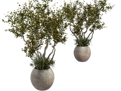 侘寂风陶艺花瓶花卉3d模型 侘寂风陶艺花瓶花卉