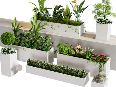 现代花箱花草花卉盆景盆栽植物3d模型 现代花箱花草花卉盆景盆栽植物