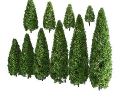 现代松树 景观树木3d模型 现代松树 景观树木