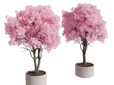 现代花盆盆景盆栽植物3d模型 现代花盆盆景盆栽植物