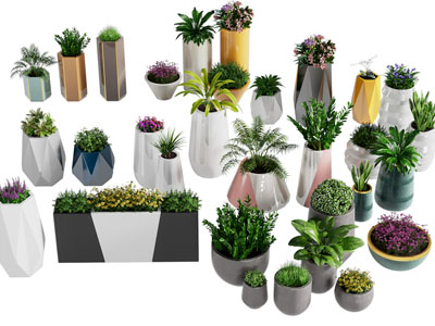 现代花盆盆景盆栽植物3d模型 现代花盆盆景盆栽植物
