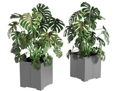 现代花箱花草植物盆景盆栽3d模型 现代花箱花草植物盆景盆栽