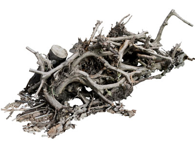 现代枯树枝 木棍3d模型 现代枯树枝 木棍