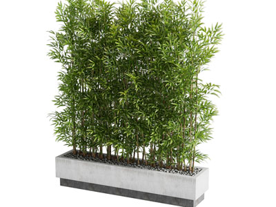 新中式花坛竹子盆景盆栽植物3d模型 新中式花坛竹子盆景盆栽植物