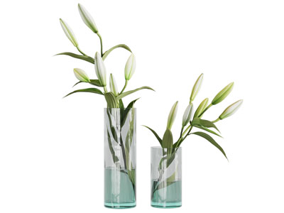 现代玻璃花瓶花卉3d模型 现代玻璃花瓶花卉