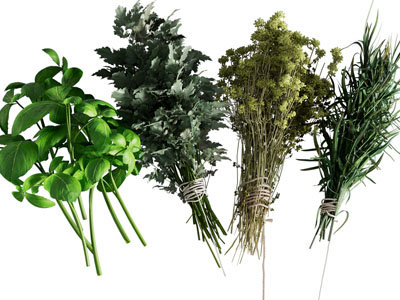 现代艾叶 艾草 花草植物3d模型 现代艾叶 艾草 花草植物