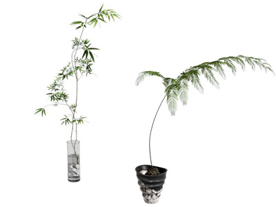 现代花瓶花卉3d模型 现代花瓶花卉