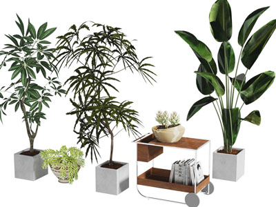 现代花盆盆景盆栽植物3d模型 现代花盆盆景盆栽植物