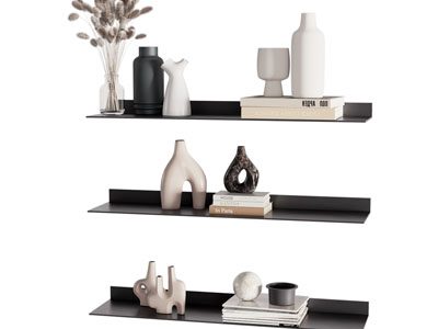 现代墙面置物架 花瓶花卉 摆件组合3d模型 现代墙面置物架 花瓶花卉 摆件组合