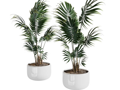 现代花盆盆景盆栽植物3d模型 现代花盆盆景盆栽植物