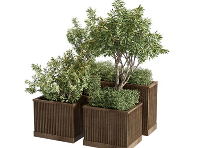 现代户外花箱树木植物盆景盆栽3d模型 现代户外花箱树木植物盆景盆栽