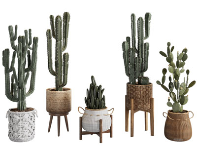 现代仙人山 仙人掌多肉盆景盆栽植物3d模型 现代仙人山 仙人掌多肉盆景盆栽植物