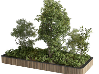 现代花坛树木盆景盆栽植物3d模型 现代花坛树木盆景盆栽植物