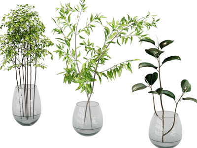 现代玻璃花瓶花卉3d模型 现代玻璃花瓶花卉