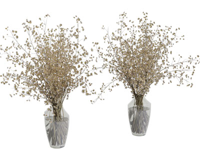 现代玻璃花瓶花卉3d模型 现代玻璃花瓶花卉