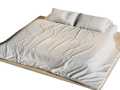 现代双人床 床垫