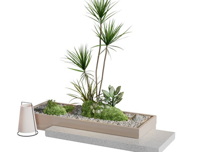 现代花坛 花草 植物景观园艺小品