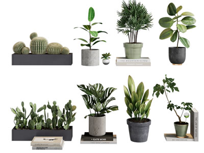 现代花盆盆景盆栽植物3d模型 现代花盆盆景盆栽植物