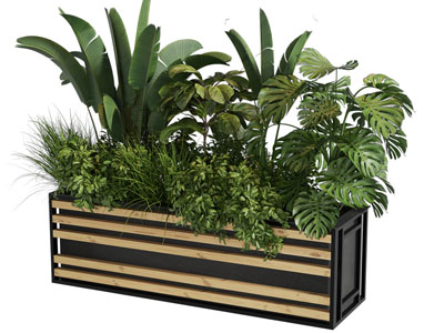 现代户外花箱花草盆景盆栽植物3d模型 现代户外花箱花草盆景盆栽植物