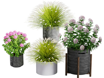 现代花盆盆景盆栽植物3d模型 现代花盆盆景盆栽植物