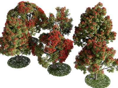 现代景观树木3d模型 现代景观树木