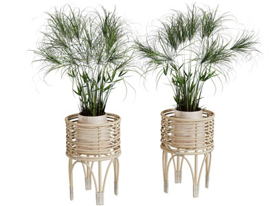 现代藤编花架花盆盆景盆栽植物3d模型 现代藤编花架花盆盆景盆栽植物