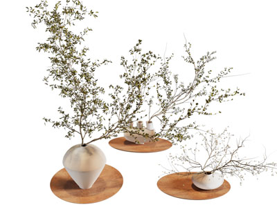 现代陶艺花瓶花卉摆件组合3d模型 现代陶艺花瓶花卉摆件组合