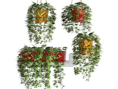 现代吊篮绿植 盆景盆栽植物3d模型 现代吊篮绿植 盆景盆栽植物