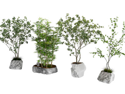 现代石头花盆盆景盆栽植物3d模型 现代石头花盆盆景盆栽植物