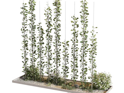 现代藤蔓植物 盆景盆栽3d模型 现代藤蔓植物 盆景盆栽