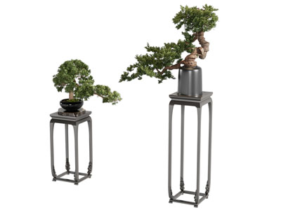 新中式花架 松树盆景盆栽 摆件组合3d模型 新中式花架 松树盆景盆栽 摆件组合