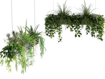 现代藤蔓植物吊篮绿植3d模型 现代藤蔓植物吊篮绿植