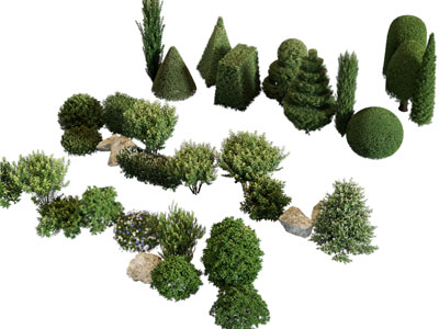 现代景观灌木丛植物3d模型 现代景观灌木丛植物