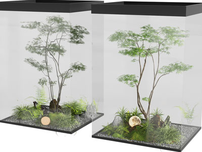 现代室内树木 花草 石子景观园艺小品