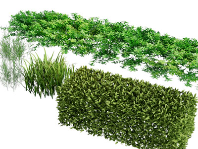 现代景观植物灌木丛 花草植物3d模型 现代景观植物灌木丛 花草植物
