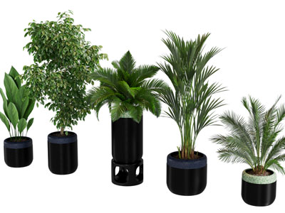 现代花盆盆景盆栽植物3d模型 现代花盆盆景盆栽植物