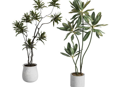 现代花盆盆景盆栽植物3d模型 现代花盆盆景盆栽植物