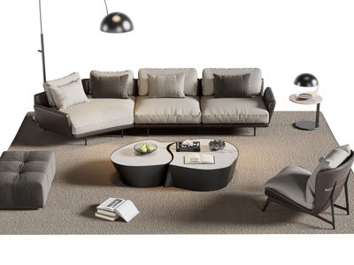 现代弧形多人沙发 休闲椅子和茶几组合