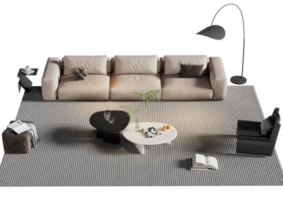 现代多人沙发 休闲椅和茶几组合