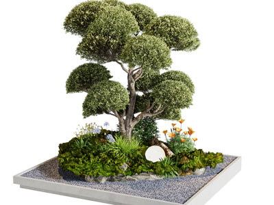 现代树木 花草 景观园艺小品