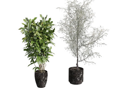 现代花盆盆景盆栽植物3d模型 现代花盆盆景盆栽植物